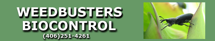 Weedbusters Biocontrol (406) 251-4261